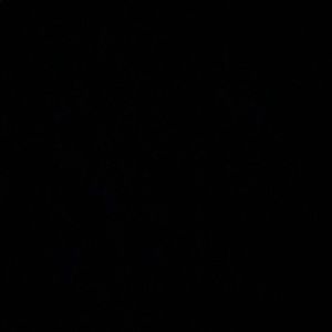 Meet your Posher, Suzy